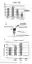 Fig. 17 - Compositions and methods for treating inflammatory disorders