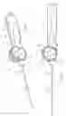 Fig. 02 - Stent delivery system
