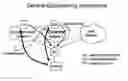 Fig. 01 - QUARANTINE NETWORKING