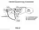 Fig. 03 - QUARANTINE NETWORKING