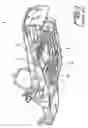 Fig. 02 - Snowmobile suspension system