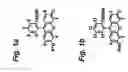 Fig. 02 - Diagnostic agents for positron emission imaging using radiolabeled halogenated xanthenes