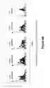 Fig. 22 - Immunostimulatory oligonucleotides and uses thereof