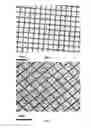 Fig. 02 - Multi-layer polymer scaffolds