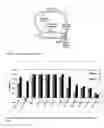 Fig. 02 - Chemotherapeutic and prophylactic pharmaceutical compositions