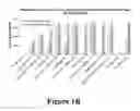 Fig. 03 - Phosphopeptide antigens associated with MHC molecules