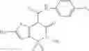 Fig. 85 - Method of treating diseases and conditions associated with an altered level of amyloid β peptides and new enolcarboxamide compounds