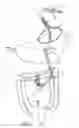 Fig. 02 - Apparatus and methods for performing transluminal gastrointestinal procedures