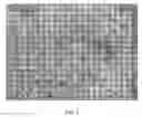 Fig. 07 - Adaptive control of optical pulses for laser medicine