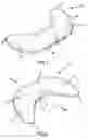 Fig. 02 - Back support attachment for nursing pillows
