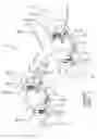 Fig. 02 - Hydraulic circuit for a stabilizer bar