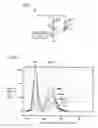 Fig. 02 - Light emitting apparatus generating white light by mixing of light of a plurality of oscillation wavelengths