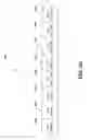 Fig. 06 - Display system and method of diminishing unwanted movement of a display element