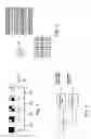 Fig. 02 - Method of processing a digital image by means of ordered dithering technique description