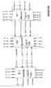Fig. 09 - Mirror image electrical packages and system for using same