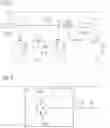 Fig. 03 - Integrated semiconductor memory comprising at least one word line and comprising a multiplicity of memory cells