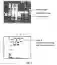 Fig. 09 - Methods of treating diseases caused by deficiencies of recombinant α-L-iduronidase