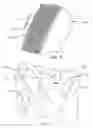 Fig. 08 - Hydroxyl polymer web structures comprising a tuft