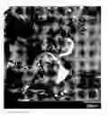 Fig. 01 - Polyurethane compositions with glass filler and method of making same