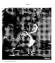 Fig. 02 - Polyurethane compositions with glass filler and method of making same
