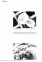 Fig. 03 - Method of growing crystals