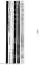 Fig. 02 - Composite electrolyte with crosslinking agents