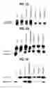 Fig. 09 - Gene imprinting and methylated CpG islands