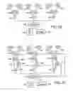 Fig. 06 - Method and apparatus for high throughput multiple radio sectorized wireless cell