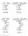 Fig. 09 - Method and apparatus for high throughput multiple radio sectorized wireless cell