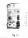 Fig. 03 - Bacteriocins and novel bacterial strains