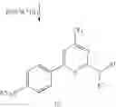 Fig. 09 - Substituted pyrimidines as selective cyclooxygenase-2 inhibitors