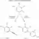 Fig. 146 - Non nucleoside reverse transcriptase inhibitors