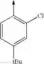 Fig. 243 - Non nucleoside reverse transcriptase inhibitors