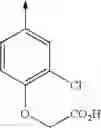 Fig. 320 - Non nucleoside reverse transcriptase inhibitors