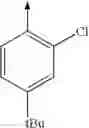 Fig. 866 - Non nucleoside reverse transcriptase inhibitors