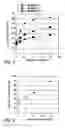 Fig. 04 - Methods of application of chemical compounds having therapeutic activities in treating cancers