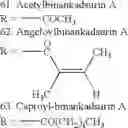 Fig. 62 - Methods of application of chemical compounds having therapeutic activities in treating cancers