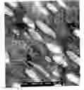 Fig. 02 - Elastic blends comprising crystalline polymer and crystallizable polymers of propylene