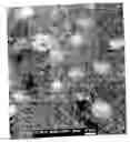 Fig. 04 - Elastic blends comprising crystalline polymer and crystallizable polymers of propylene