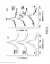Fig. 09 - Control of polymer surface molecular architecture via amphipathic endgroups