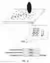 Fig. 02 - Reversible immobilization of arginine-tagged moieties on a silicate surface