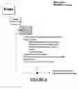 Fig. 07 - Method for directed design