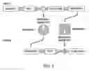 Fig. 04 - Methods and genetic compositions to limit outcrossing and undesired gene flow in crop plants