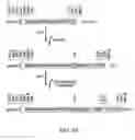 Fig. 11 - Methods and genetic compositions to limit outcrossing and undesired gene flow in crop plants
