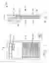 Fig. 02 - Pet door