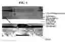 Fig. 07 - Laser-scored push-through blister backing and methods of making same