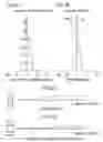 Fig. 03 - Projection optical system and projecting apparatus provided with same