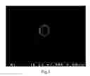 Fig. 04 - Medium and method for preserving platelets, red blood cells, and other non-nucleus cells and platelets-containing composition