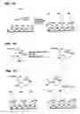 Fig. 02 - Nucleic acid amplification and detection method