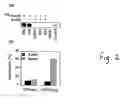 Fig. 06 - RTD receptor